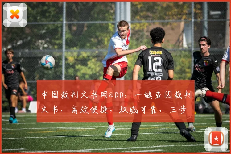 中国裁判文书网app，一键查阅裁判文书，高效便捷，权威可靠，三步轻松获取。