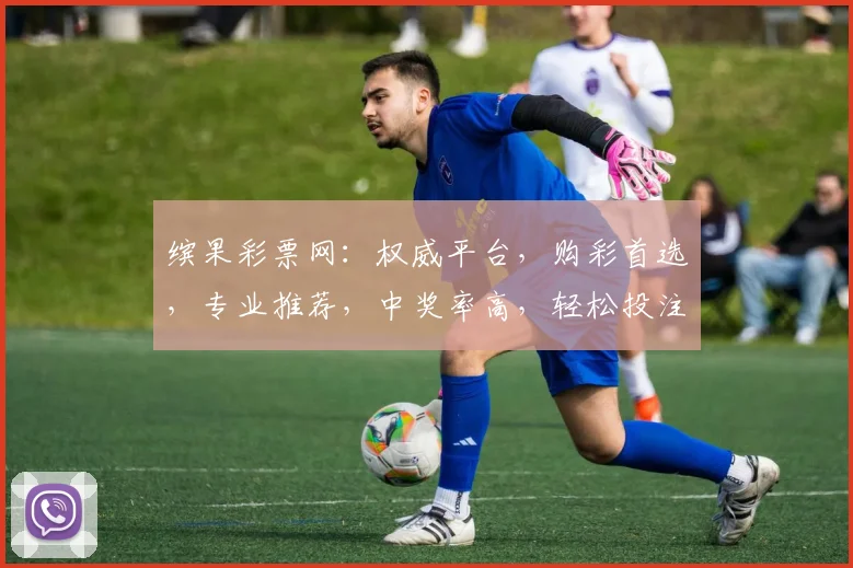 缤果彩票网：权威平台，购彩首选，专业推荐，中奖率高，轻松投注三步走，快来体验