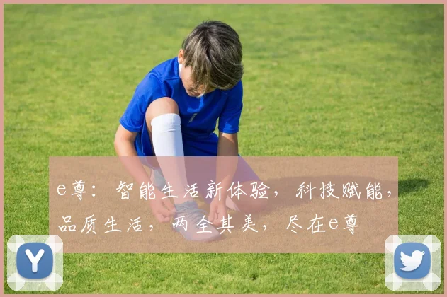 e尊：智能生活新体验，科技赋能，品质生活，两全其美，尽在e尊