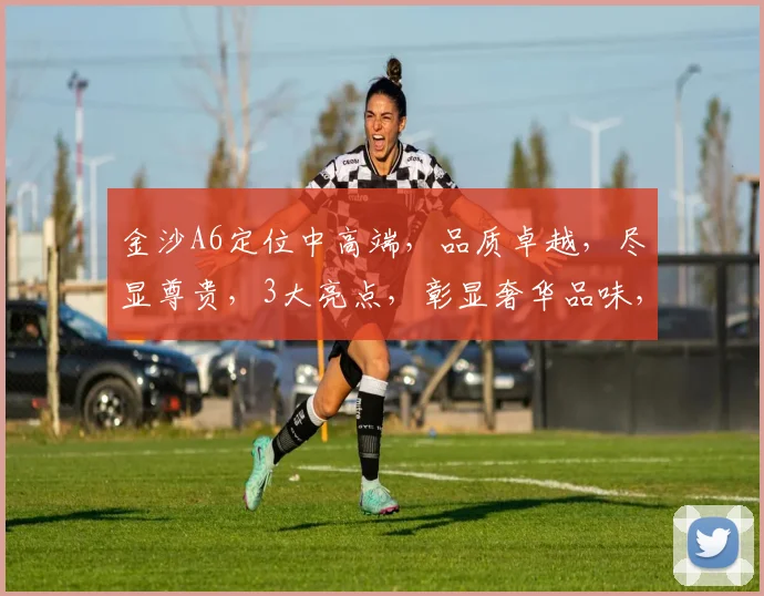 金沙A6定位中高端，品质卓越，尽显尊贵，3大亮点，彰显奢华品味，引领潮流。