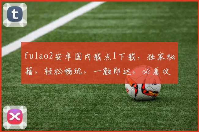 fulao2安卓国内载点1下载，独家秘籍，轻松畅玩，一触即达，必看攻略